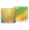 Picture of Apricot Mint 12"x12" Paper Pack