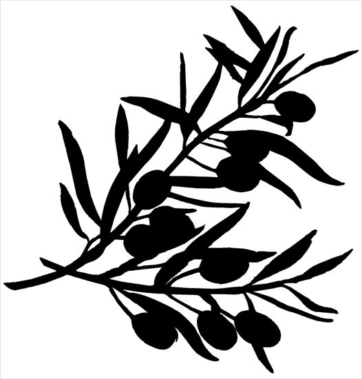 Picture of Olive Branch 185X191