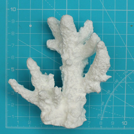 Picture of PT233 - Large Standing Coral