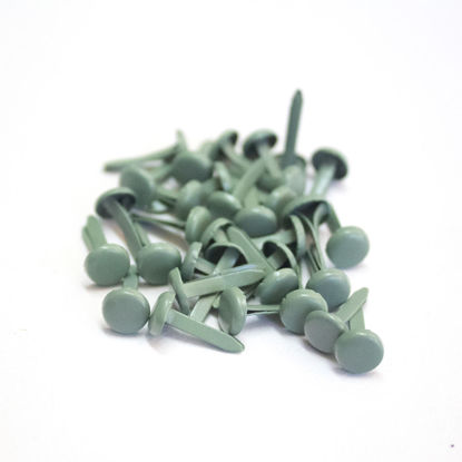 Picture of 6mm Grey - Plain Brads