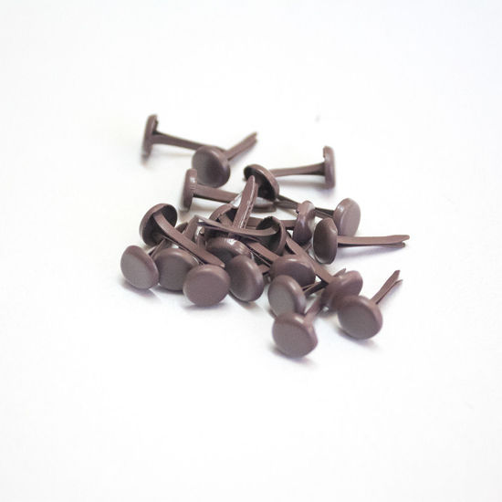 Picture of 6mm Coffee - Plain Brads