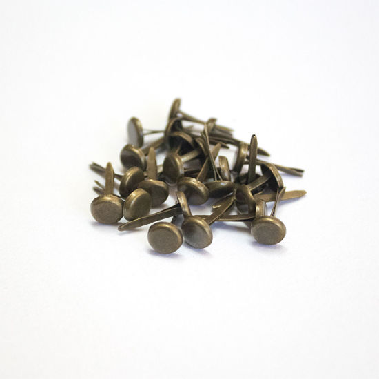 Picture of 6mm Bronze- Plain Brads