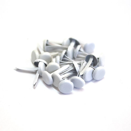 Picture of 6mm White - Plain Brads