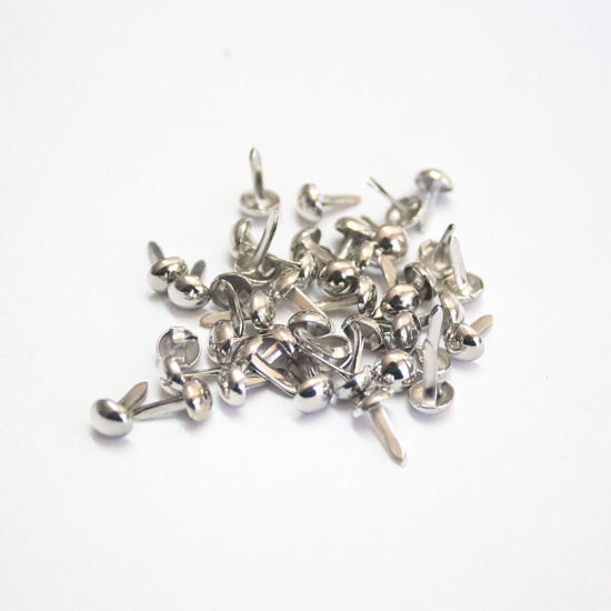 Picture of 4mm Silver - Plain Brads