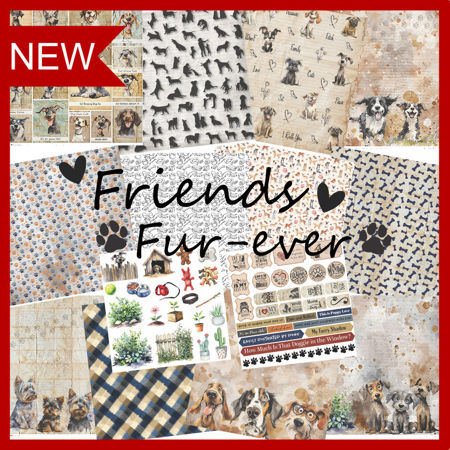 Picture for category Friends Fur-ever