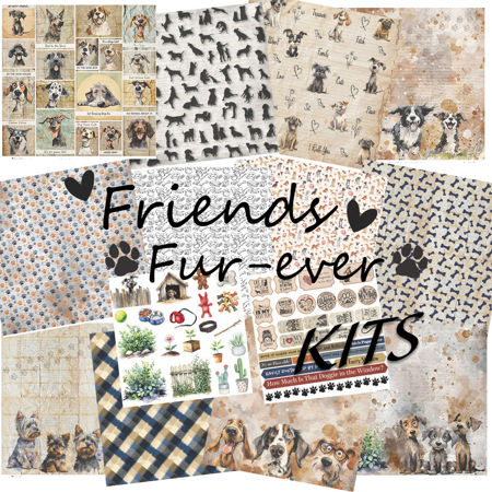 Picture for category Friends Fur-ever