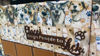 Picture of Friends Fur-forever Double Page Scrapbooking Kit - Michelle Van Wyk