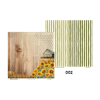 Picture of Shine with Grace 12"X12" Paper Pack