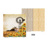 Picture of Shine with Grace 8"X8" Paper Pack